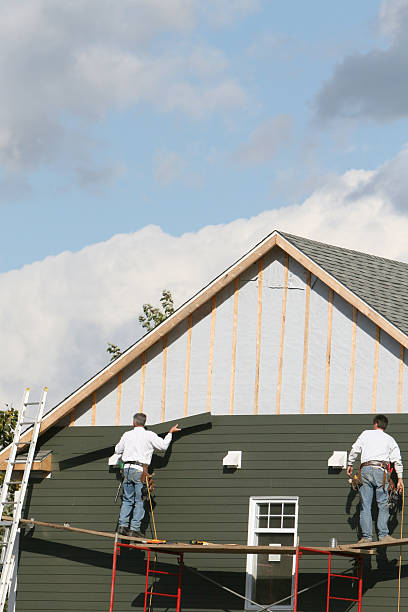 Best Insulated Siding Installation  in La Crescent, MN